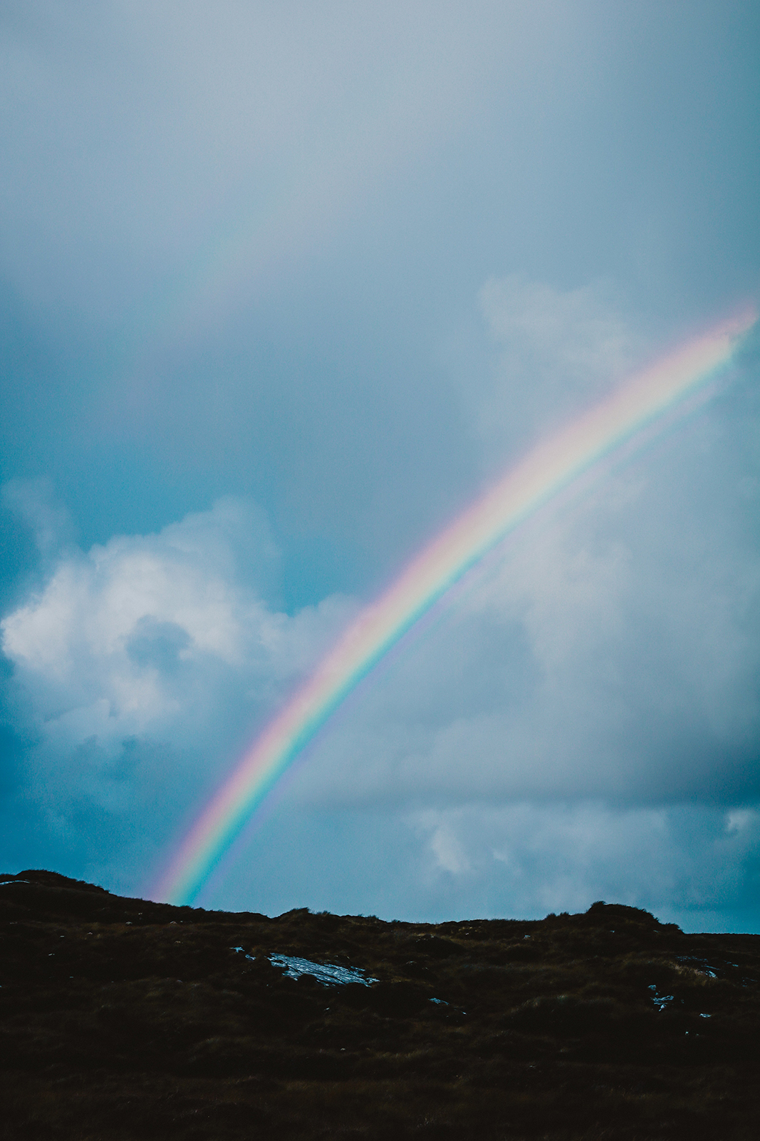 andrea-ferrario-e5fCxC6qBHs-unsplash