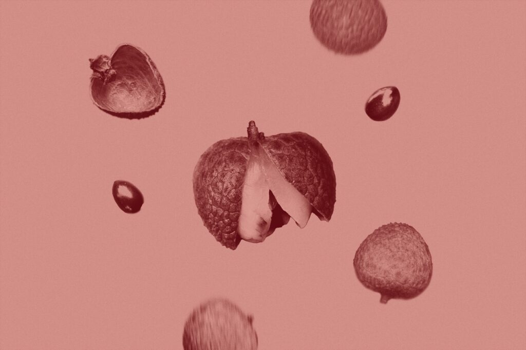 isaac-n-c-BTX7z4dENKI-unsplash Large