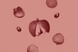 isaac-n-c-BTX7z4dENKI-unsplash Large