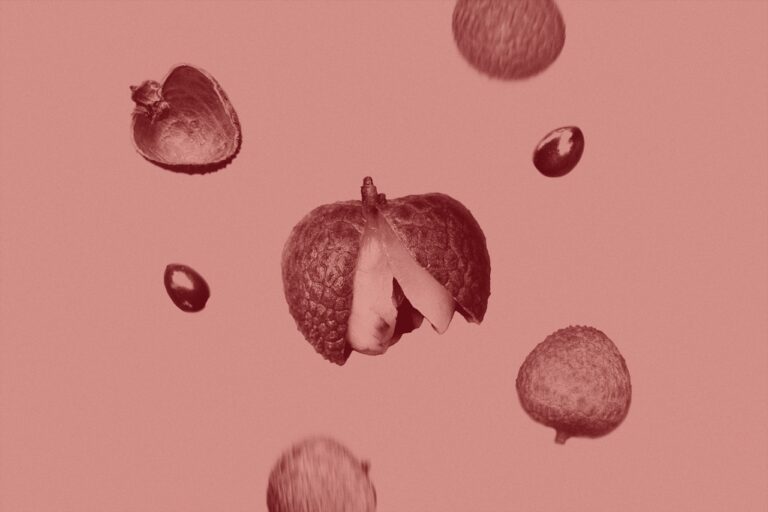 isaac-n-c-BTX7z4dENKI-unsplash Large