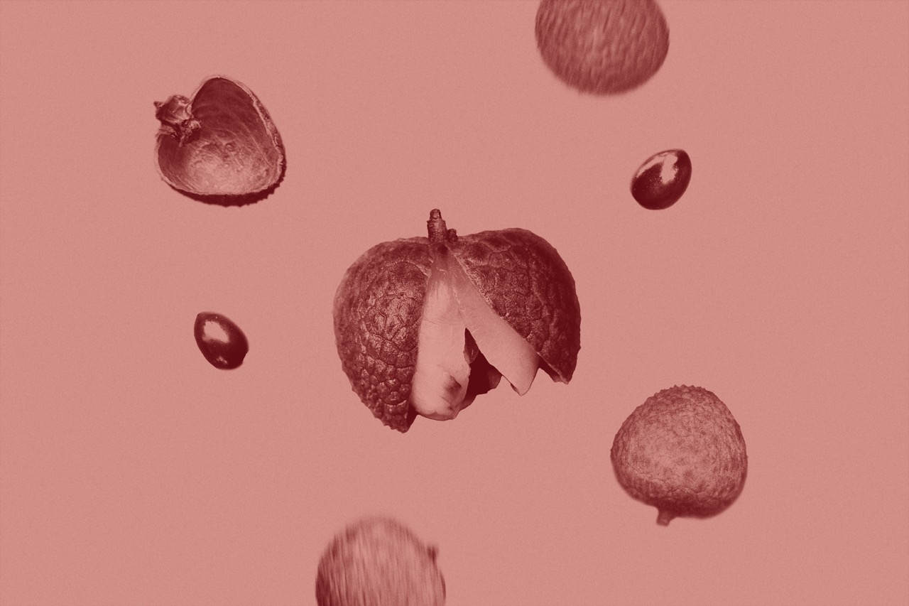 isaac-n-c-BTX7z4dENKI-unsplash Large