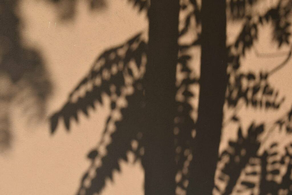 marija-zaric-n_mA9Z3ZyqI-unsplash