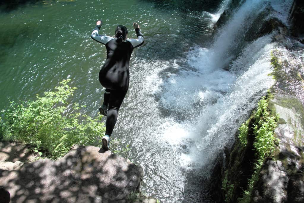 OnProcrastination_Shapiro