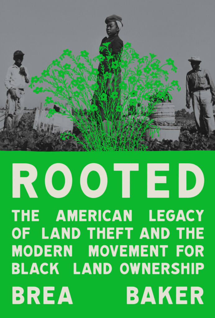 Rooted_Cover_1213