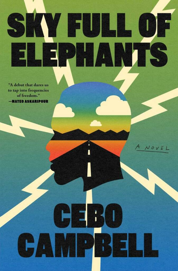 Sky-Full-of-Elephants.Cebo-Campbell