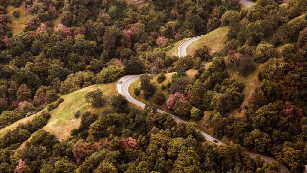 ThreeDimensionalWriting (2)_Gaylin