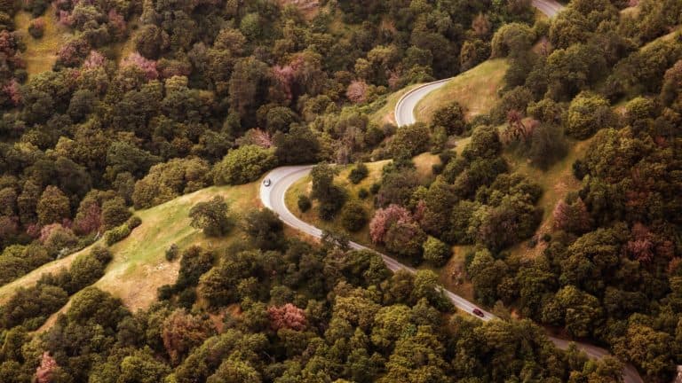 ThreeDimensionalWriting (2)_Gaylin