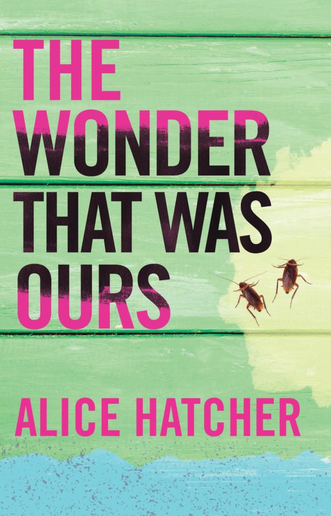 The Wonder That Was Ours by Alice Hatcher (Dzanc Books)